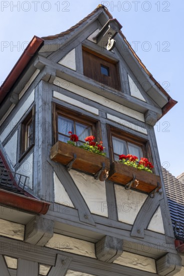 Half-timbered house, Ulm, Baden-Württemberg, Germany