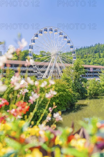 A Ferris wheel rises above blooming flowers and a river, embedded in a lush green landscape, 950