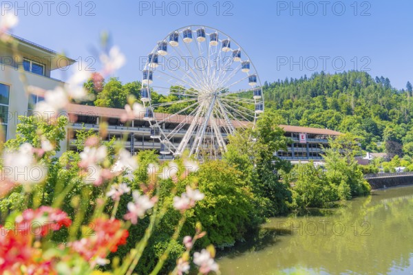 A Ferris wheel towers over a river and colourful flowers, surrounded by dense trees and a clear