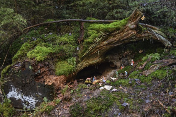 Mysterious cot, Christmas cot in natural surroundings, hidden in the forest, artists have built the