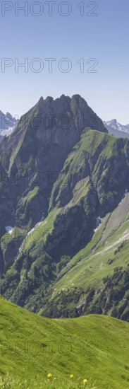 Mountain panorama from Laufbacher-Eckweg to Höfats, 2259m, Allgäu Alps, Allgäu, Bavaria, Germany