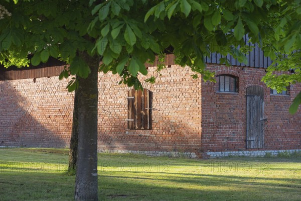 View through two chestnut trees to a part of a barn, Böhme, Heidekreis, Rethem Aller, Leine Aller