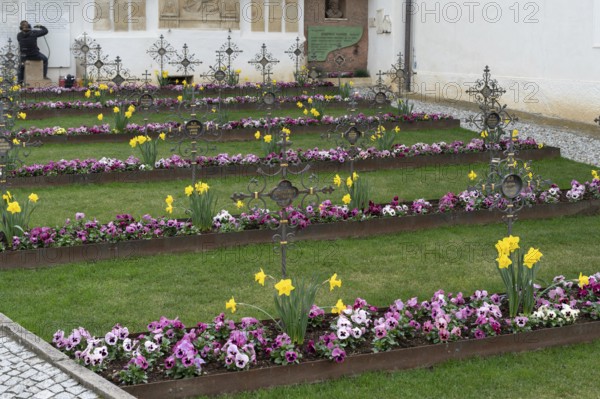 Colourfully planted row graves in the cemetery of the Neustift St Margarethen monastery, Vahrn,