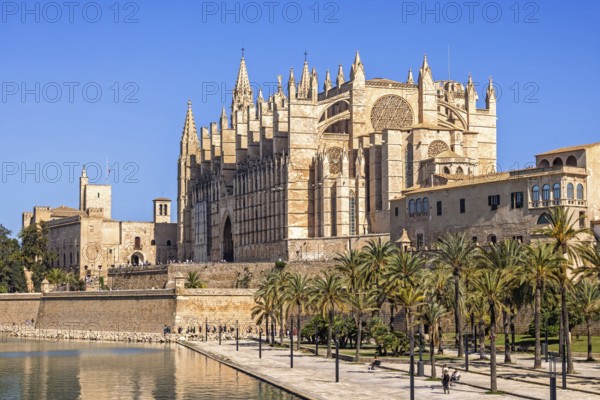 View at Palma Cathedral a famous Gothic Roman Catholic cathedral with the city walls and the Royal
