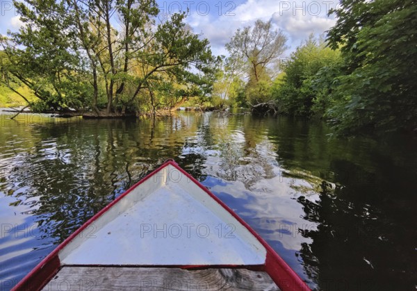 View from a rowing boat onto the Ruhr with an overgrown island in the river, Witten, Ruhr area,