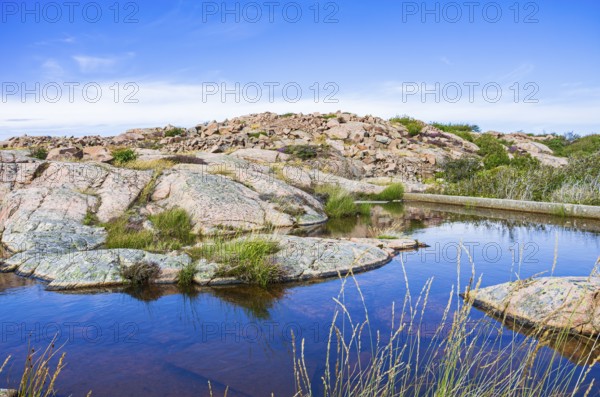 Rocky landscape of Bohusgranite on the coast of Lysekil, Bohuslän, Västra Götalands län, Sweden,