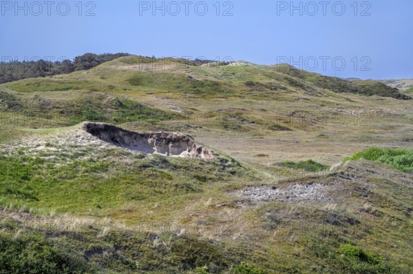 View from Bertusnol over dunes at De Nederlanden, part of nature reserve De Muy in the Nationaal