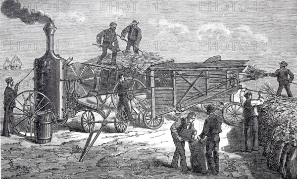 Agriculture, harvest, threshing machine in operation, driven by a locomobile, Aultmann system from
