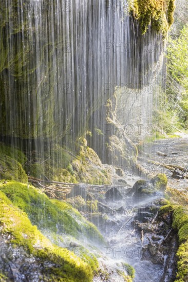Dietfurt Waterfall, a moss waterfall in the Wutach Gorge, Black Forest, Baden-Württemberg, Germany