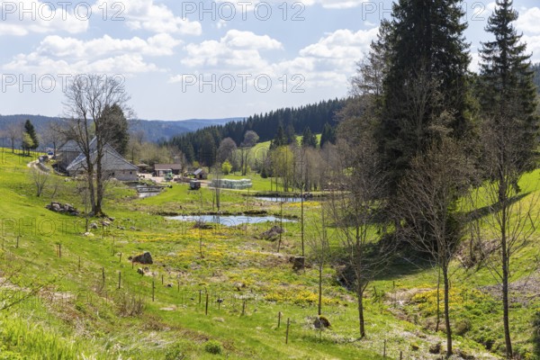 Upper reaches of the Breg, which becomes the Danube, shortly after the source, Furtwangen in the