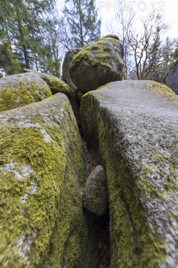 Granite rock Günterfelsen near the source of the Danube, Furtwangen in the Black Forest,