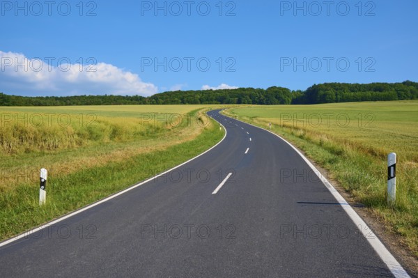 Rural road winds through green fields under a blue sky with white clouds, summer, Marktheidenfeld,