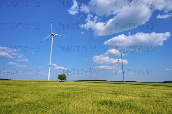 Wind turbines standing in an open grain field under a clear blue sky with white clouds, summer,