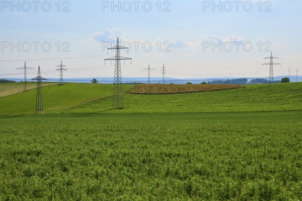 Extensive green fields with electricity pylons and a blue sky with clouds, Marktheidenfeld,