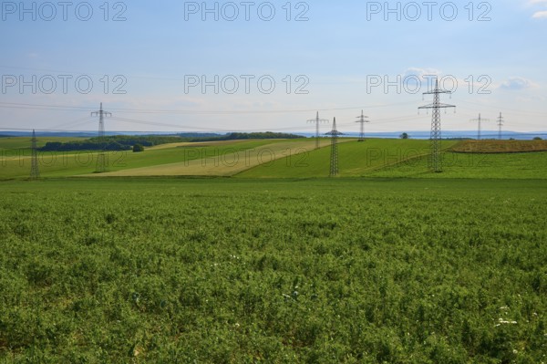 Wide green fields with several electricity pylons and a blue, slightly cloudy sky, Marktheidenfeld,