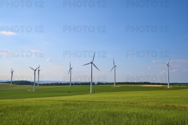 Wind turbines on green fields of grain under a blue sky, a symbol for renewable energy, summer,