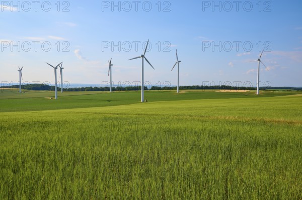 Green grain fields with wind turbines under a blue sky, representation of sustainable energy,