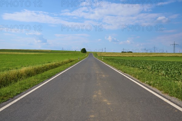 A straight country road between green fields under a blue sky with white clouds, Marktheidenfeld,