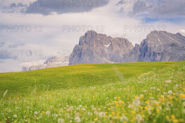 Green meadow with flowers in front of an impressive rock formation and cloudy sky, Alpe di Siusi,