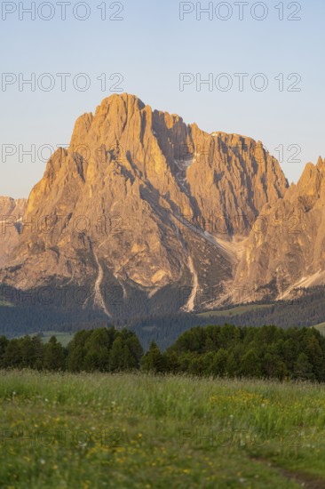 Impressive rock formations in the evening light of the Dolomites with summer meadow in front, Alpe