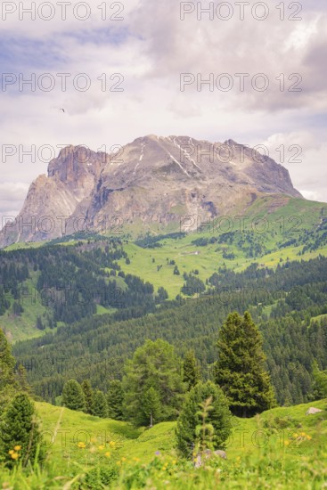 Mountain panorama with green forests and meadows under a cloudy sky, Alpe di Siusi, Dolomites,