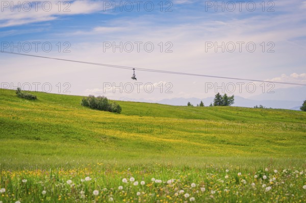 Green meadow with flowers and cable car in front of a wide sky, Alpe di Siusi, Dolomites, South