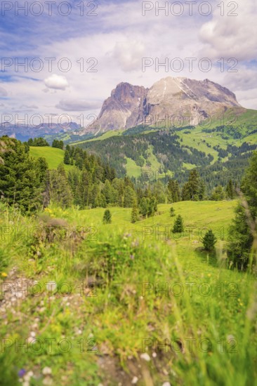 Green hilly landscape with mountain view and cloudy sky, Alpe di Siusi, Dolomites, South Tyrol,