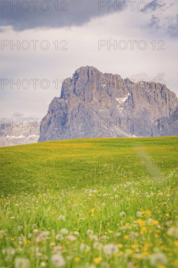 Mountain landscape with green meadow and flowers under a cloudy sky, Alpe di Siusi, Dolomites,