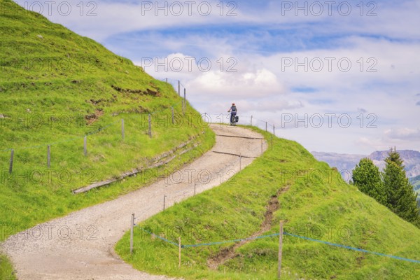 A winding gravel path amidst a hilly, natural landscape, Alpe di Siusi, Dolomites, South Tyrol,
