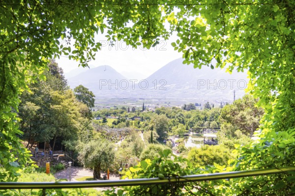 A panoramic view over a valley with trees and mountains in the background, Botanical Gardens, The