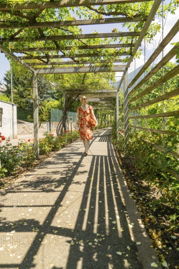 Woman in a pavilion, covered by leaves, with long shadows on the ground, surrounded by summer