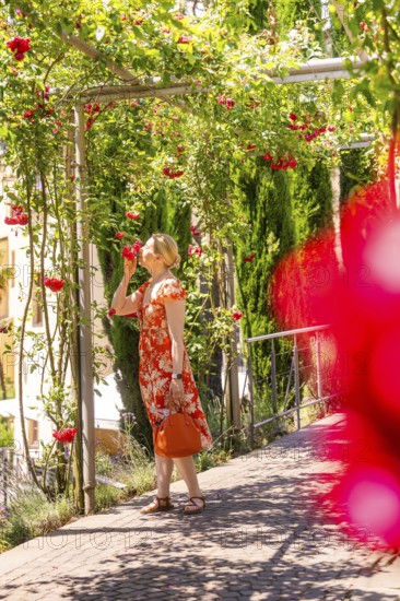 A woman in a red dress smells red roses in a green garden, Botanical Garden, The Gardens of