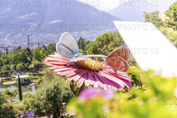 Two large plastic butterflies on a flower with a view of the mountains, Botanical Gardens, The