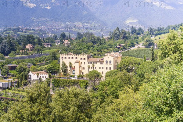 Castle surrounded by green nature and mountain landscape with small village nearby, botanical