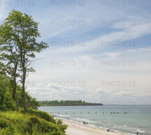 Steep coast, natural sandy beach, Baltic seaside resort of Rerik, Baltic Sea, Rostock district,