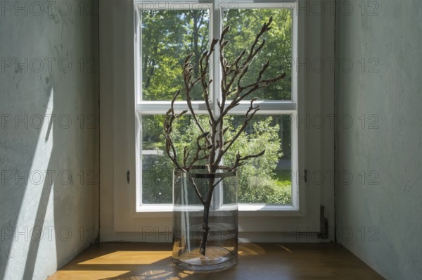 A single branch in a glass vase stands on a wooden windowsill in front of a window through which