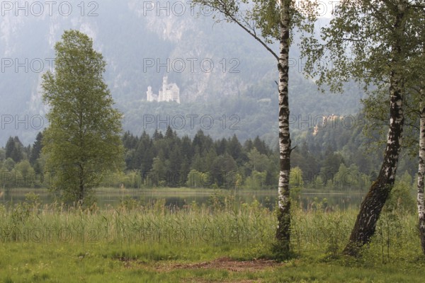 Neuschwanstein Castle near Füssen in summer, with the Schwansee lake in the foreground, Allgäu,