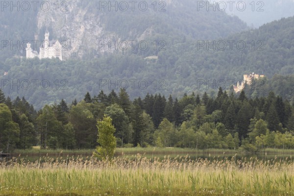 Neuschwanstein Castle and Hohenschwangau Castle (right) with Lake Schwansee in the foreground,
