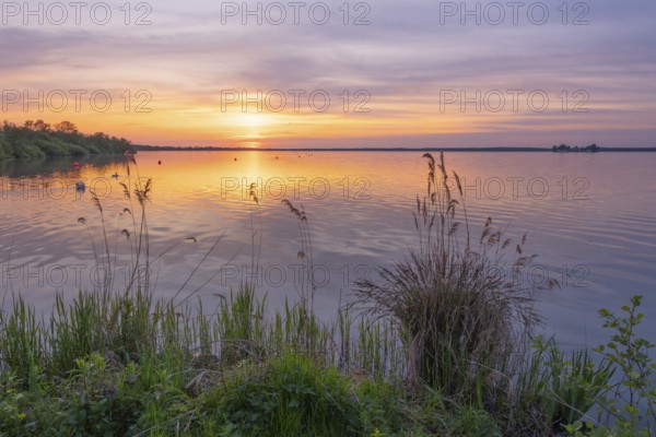 Evening mood at the Steiunhuder Meer, sunset, landscape photo, nature photo, landscape format,