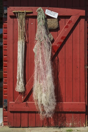 Rope and fishing net on a wooden door, trammel net, harbour, Flensburg, Flensburg Fjord, Baltic