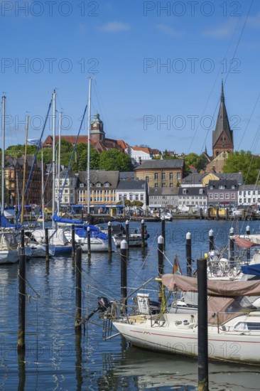 City view with St. Marien church, sailing boats, harbour, Flensburg, Flensburg Fjord, Baltic Sea,