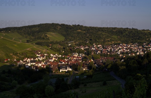 View from Rotenberg, Württemberg, to Urbach, Rems Valley, vineyards, evening light, Stuttgart,