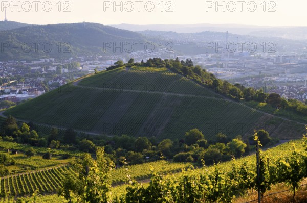 View from Rotenberg, Württemberg. over Mönchberg, Untertürkheim to the Neckar valley, headquarters