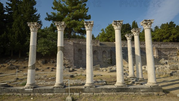Row of ancient columns in front of a stone building and green forest, Temple of Apollo, Corinthian