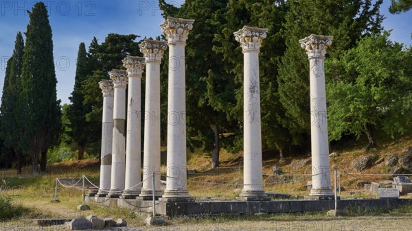 Group of ancient columns in front of a wooded landscape under a blue sky, Temple of Apollo,