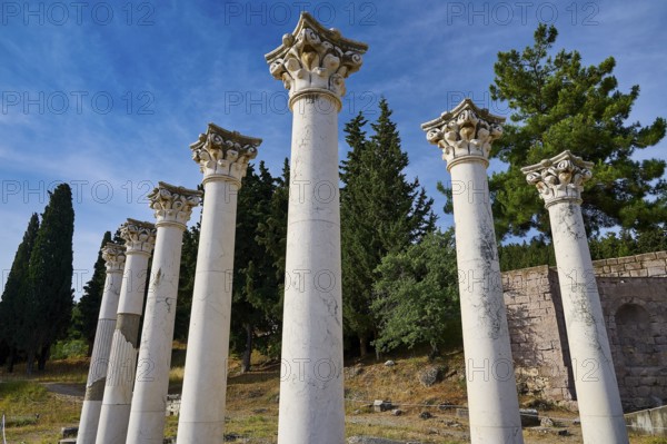 View of ancient columns with blossoming trees and blue sky in the background, Temple of Apollo,