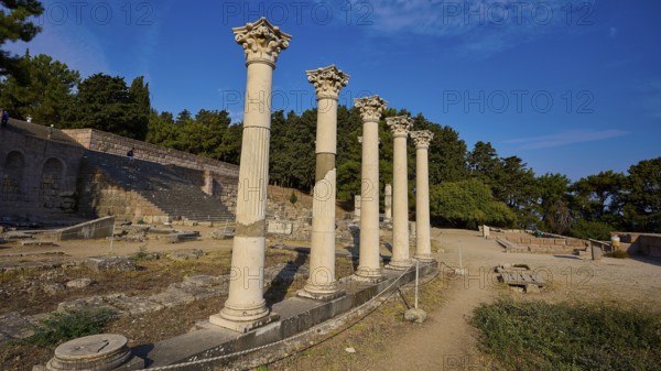 Row of ancient columns rises in a historic site surrounded by trees, Temple of Apollo, Corinthian