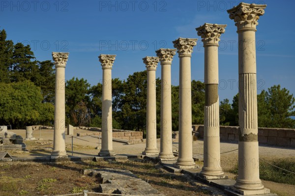 Row of ancient columns in a landscape of ruins with trees in the background, Temple of Apollo,