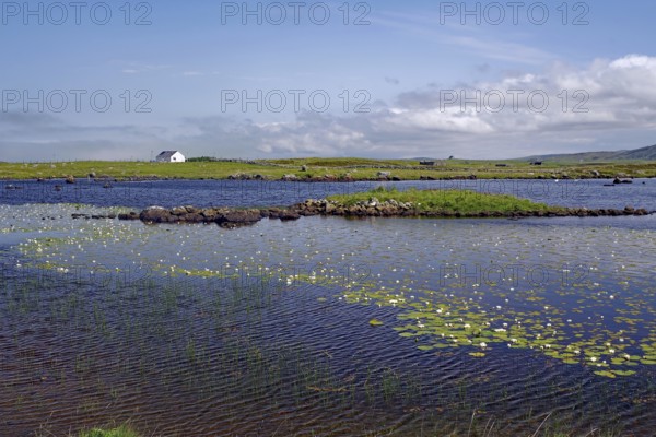 Landscape with water, water lilies and islands under blue sky with clouds, vastness, South Uist,