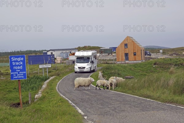 A mobile home on a narrow road, surrounded by sheep and a modern building, in a rural area, humour,